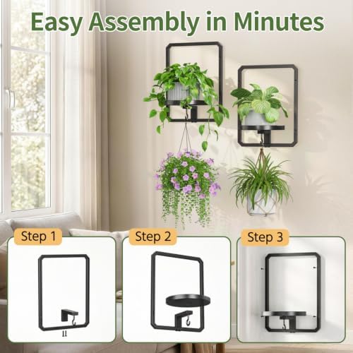 LASZOLA Plant Picture Frame Holder Shelf Wall Window Indoor - Image 4