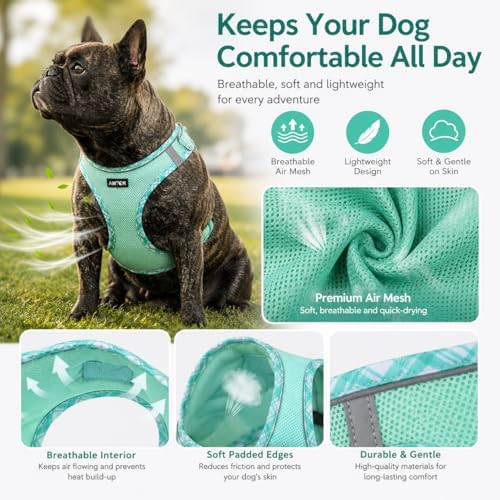 AMTOR Small Dog Harness with Leash Set, No Escape Easy Walk Puppy Harnesses - Image 2