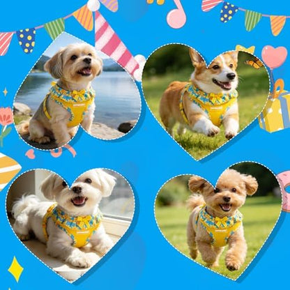 EXPAWLORER Step-in Dog Harness Small Sized and Leash Set - Image 6