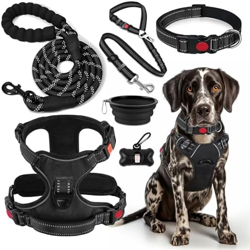 LOBEVE No Pull Dog Harness, Collar & Leash Set by Lovebegetslove