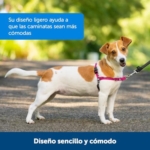 PetSafe Easy Walk Harness, No Pull Dog Harness, Royal Blue, Medium/Large - Image 4
