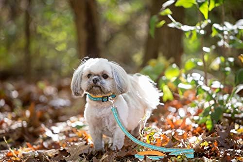 Pets First NFL Licensed Miami Dolphins Pet Leash, Size Small– Durable Satin Dog - Image 4