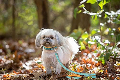 Pets First NFL Licensed Miami Dolphins Pet Leash, Size Small– Durable Satin Dog - Image 4