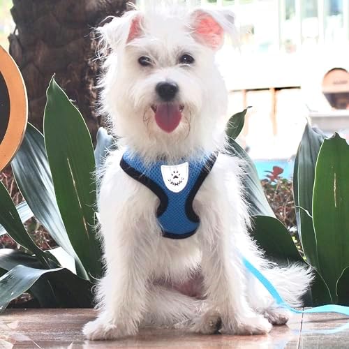 Hypeety Dog Vest Harness No-Pull Reflective Step-in Air Mesh Vest - Image 6