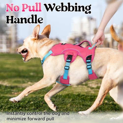 rabbitgoo Escape Proof Dog Harness - Image 4