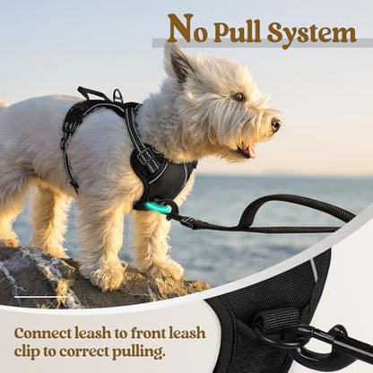 rabbitgoo Dog Harness, No Pull for Small Dogs - Image 5