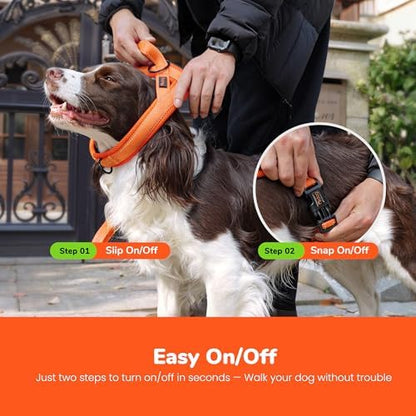 Didog No Pull Dog Harness for Large Dogs, Breathable Mesh Padded - Image 4