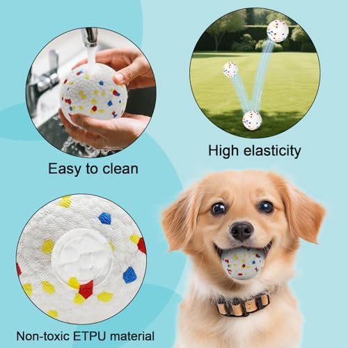 6 Pack Dog Toy Balls, 2.3 Inch ETPU Material, Replacement Balls - Image 3