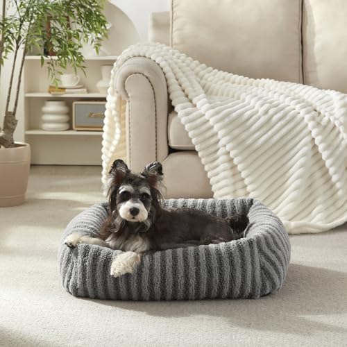 MIXJOY Dog Beds for Small Dogs Cats, Soft Cat Bed for Indoor Cats, Rectangle by MIXJOY