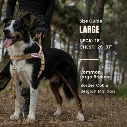 Forestpaw No Pull Dog Harness - Image 4