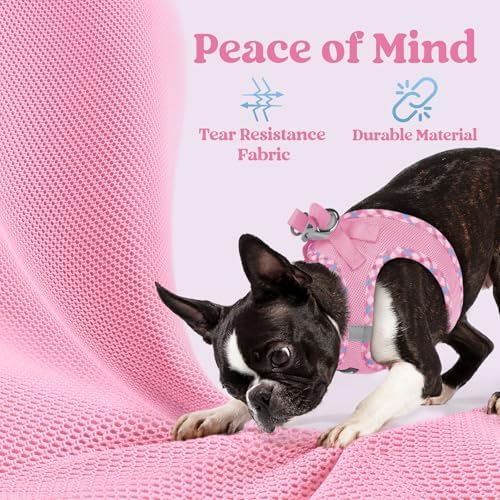 rabbitgoo Step-in Small Dog Harness, Puppy Vest - Image 4