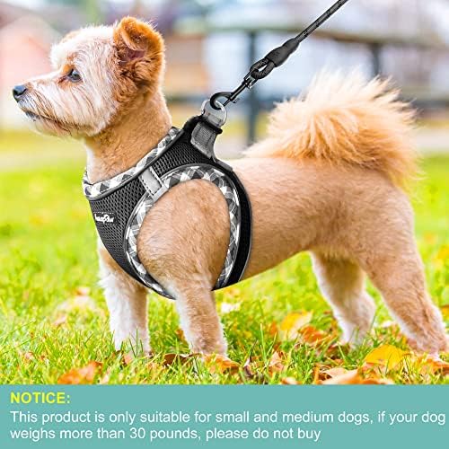 haapaw Dog Harness with Leash Set, No Pull Adjustable Reflective Step-in Puppy - Image 4