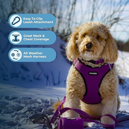 Voyager Step-in Air Dog Vest Harness - Image 3