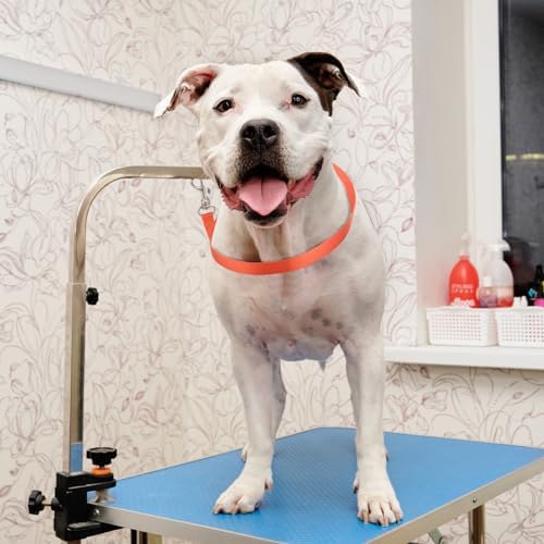 Shinylin 5 Pcs Pet Grooming Loops - Image 3