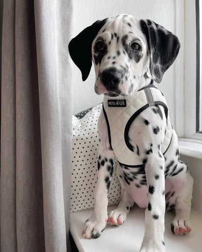 Step in Dog Harness, Lightweight Breathable Mesh Soft Padded Pet Vest, Vegan - Image 4