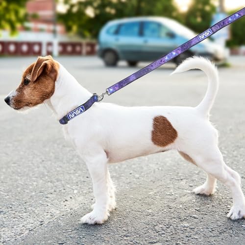 Pets First NASA Dog Leashes and Collars - Image 4