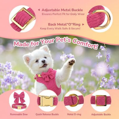 Small Dog Collar Harness and Leash Set - Image 3
