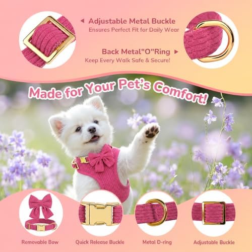 Small Dog Collar Harness and Leash Set - Image 3