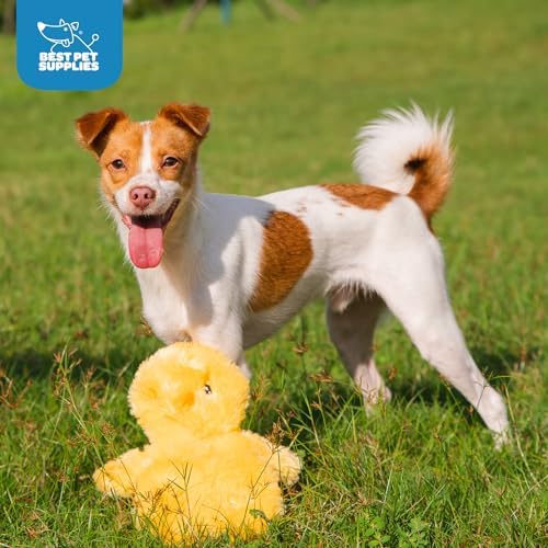 Best Pet Supplies Interactive Squeaky Dog Toy - Image 5