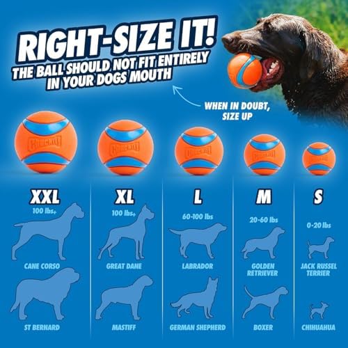 Chuckit! EcoFetch Dog Ball Launcher 18" - Image 5