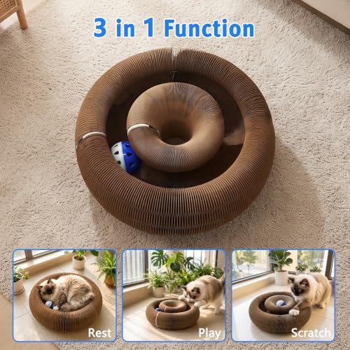 Cat Toys & Cardboard Cat Scratcher - Image 5