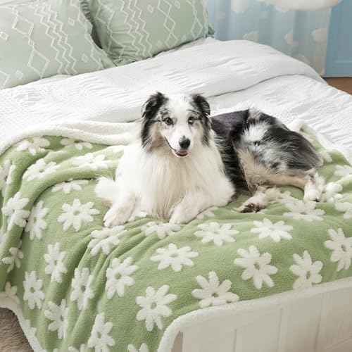 LE SURE Waterproof Dog Blankets - Image 2