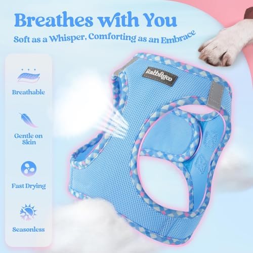 rabbitgoo Dog Harness Small Sized and Leash Set, Step-in Puppy Pet Vest - Image 3