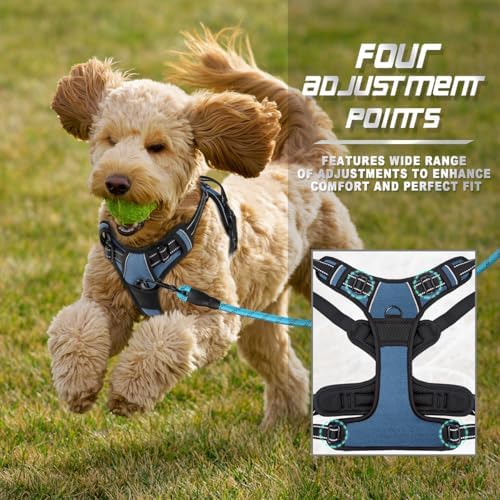 BARKBAY Dog Harness No Pull for Small Sized Dog Front Back Clips, Dog Vest - Image 6