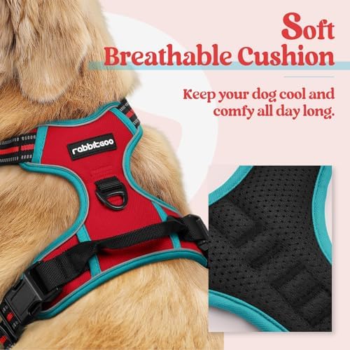 rabbitgoo Dog Harness, No Pull Medium Sized - Image 2