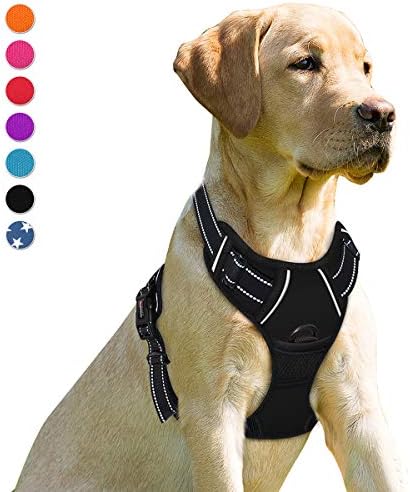 BARKBAY Dog Harness No Pull for Medium Sized Dog Front Back Clips, Dog Vest by BARKBAY