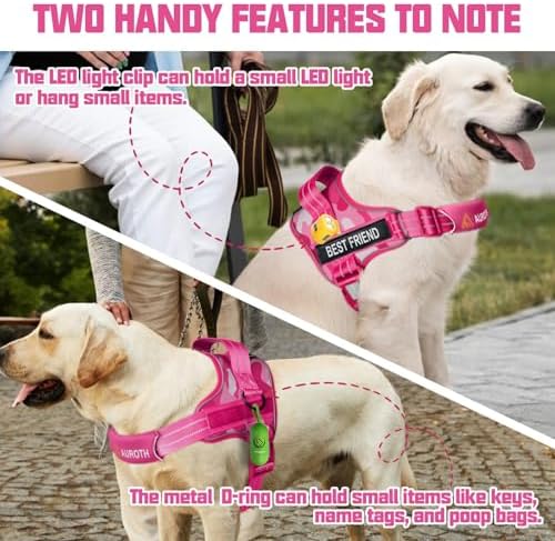 AUROTH Dog Harness and Leash Set - Image 4