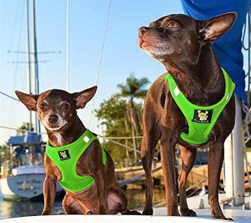 EcoBark Fully Adjustable Double Padded Step in Dog Harness, X Small - Image 5