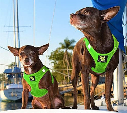 EcoBark Fully Adjustable Double Padded Step in Dog Harness, X Small - Image 5