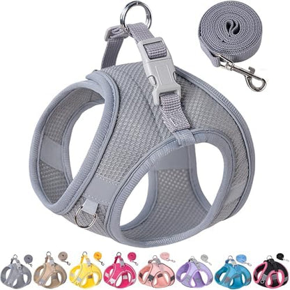 Dog Harness for Small Medium Sized Dog, Puppy Harness and Leash Set Training by Aecllcea