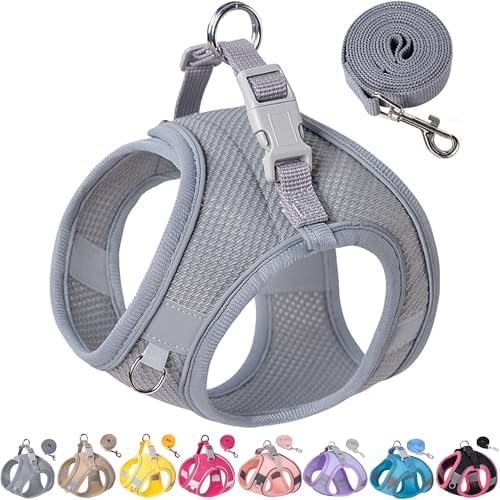 Dog Harness for Small Medium Sized Dog, Puppy Harness and Leash Set Training by Aecllcea