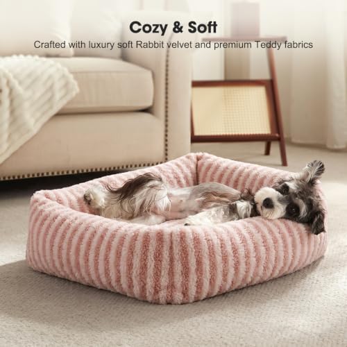 MIXJOY Dog Bed Medium Size Dog, Washable Medium Dogs Bed - Image 4