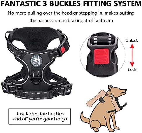 PoyPet No Pull Dog Harness Small - Image 2