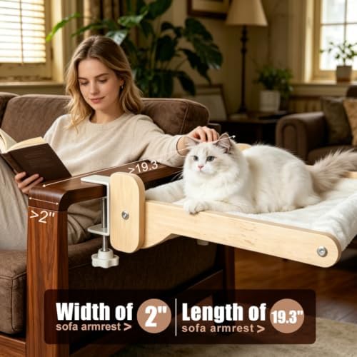 Cat Desk Bed Foldable Wood Cat Bed - Image 3