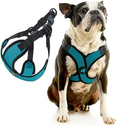 Gooby Comfort X Step-in Lite Harness, Choke-Free - Image 3