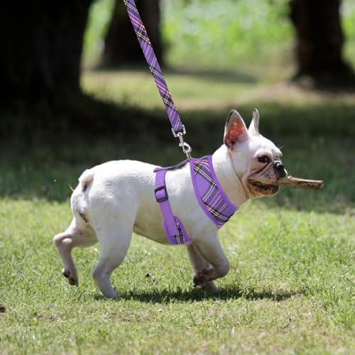 PUPTECK Small Dog Harness and Leash Set No Pull - Image 6