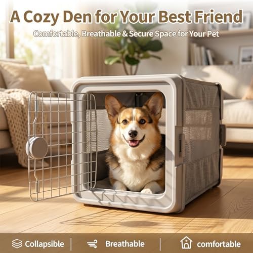 Collapsible Hard Cat Carrier & Small Dog Crate, Pet Carrier Travel - Image 5