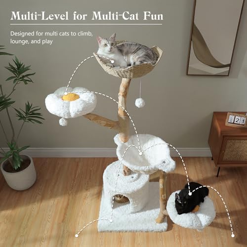MUTTROS 59" Modern Wood Cat Tree - Image 4