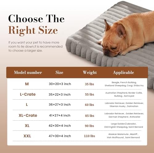 Medium Dog Bed Orthopedic Foam - Image 6