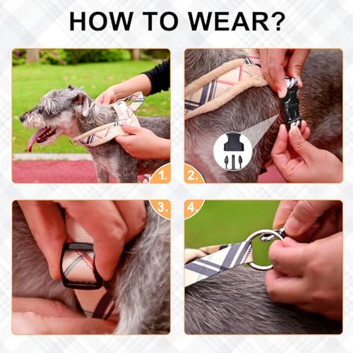 BEAUTYZOO No Pull Medium Dog Harness and Leash Set, Soft Puppy Vest Harness - Image 6