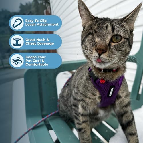 Voyager Step-in Lock Cat Harness & Leash Set - Image 5