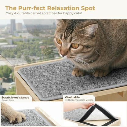 Pecute 2-in-1 Cat Window Perch & Wall Shelves, Cat Hammock Window 16"x10" - Image 6