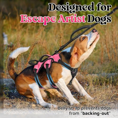 rabbitgoo Escape Proof Dog Harness - Image 2