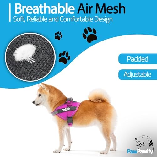 Custom No Pull Dog Harness - Image 4