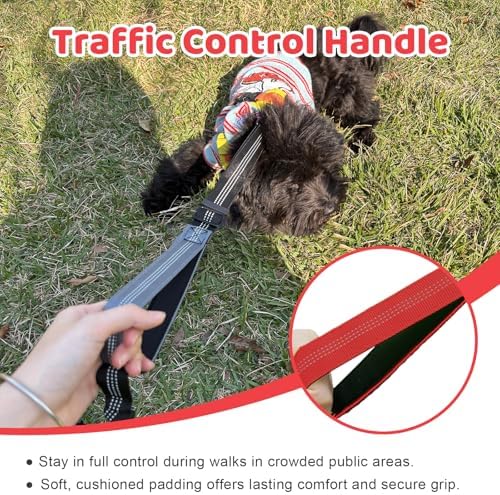 Double Dog Leash - Image 5