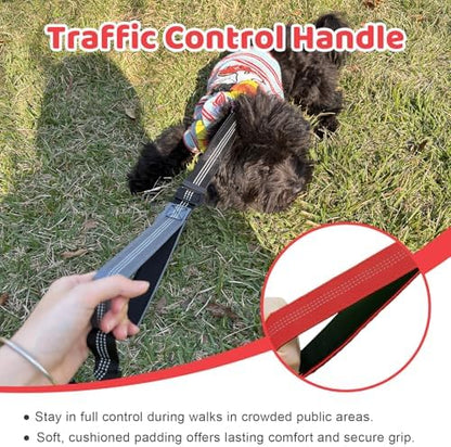 Double Dog Leash - Image 5